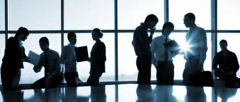 Delega di Funzioni in materia ambientale  Solo le aziende di grandi dimensioni possono delegare funzioni.