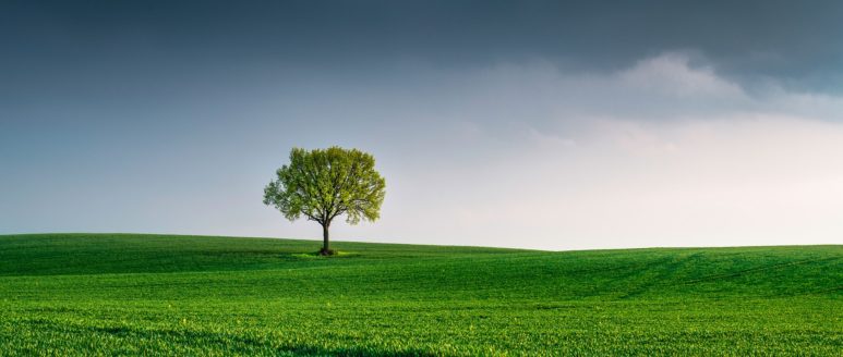 INQUINAMENTO TERRENO AGRICOLO: CHIARIMENTI RESPONSABILITA’ PROPRIETARIO